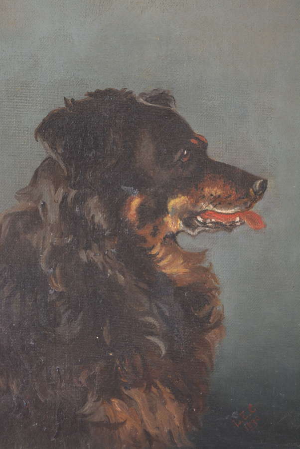 19TH CENTURY OIL ON CANVAS OF A COLLIE
